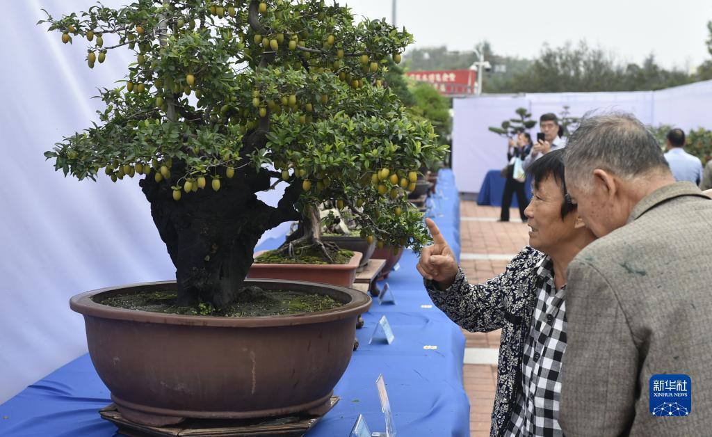宏辉普天棋牌